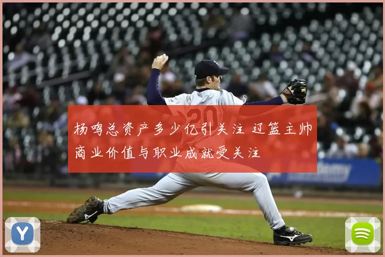 杨鸣总资产多少亿引关注 辽篮主帅商业价值与职业成就受关注