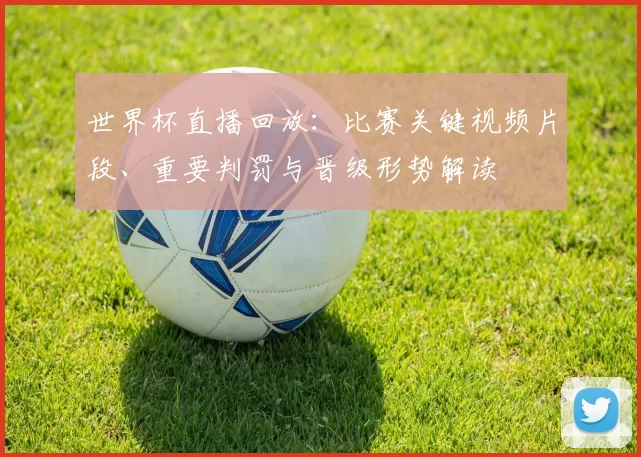 世界杯直播回放：比赛关键视频片段、重要判罚与晋级形势解读