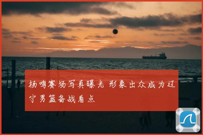 杨鸣赛场写真曝光 形象出众成为辽宁男篮备战看点
