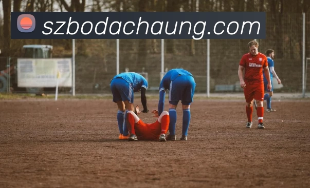 熊猫体育「中国」官方网站 - 快乐运动，智慧健身全站App